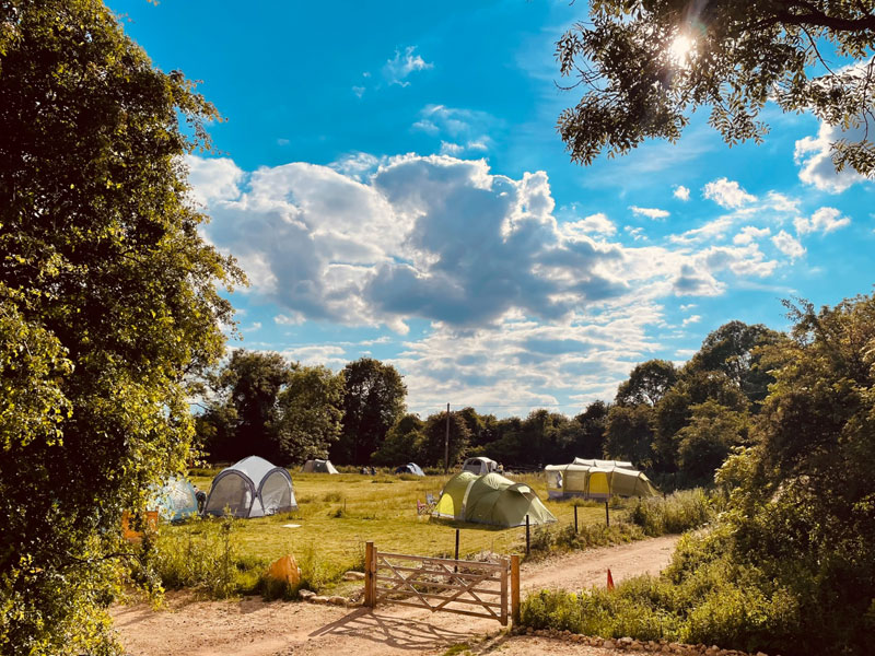 The Wildings Campsite